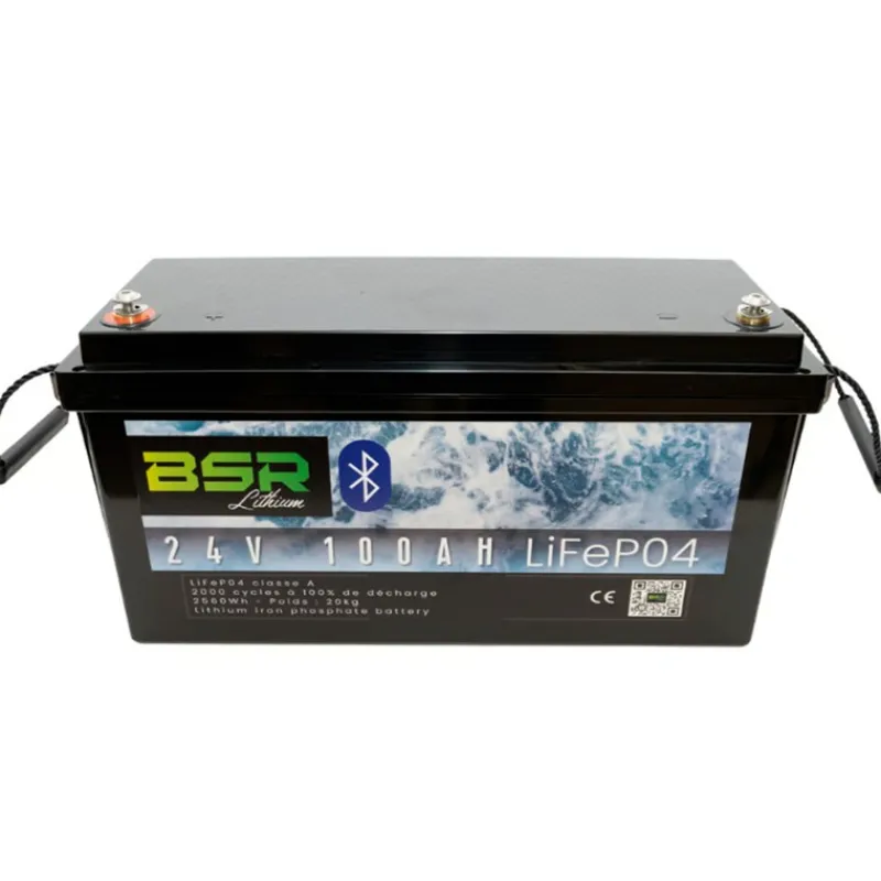 BSR Batteries & Chargeurs^Batterie Lithium Monobloc Lifepo4 24V100ah + Chargeur Non Étanche 10A