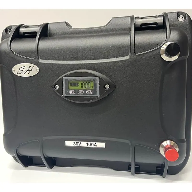 SH Lithium Batteries & Chargeurs^Batterie Lithium Ion Gamme Haute Performance Brushless - 36V100a + Chargeur