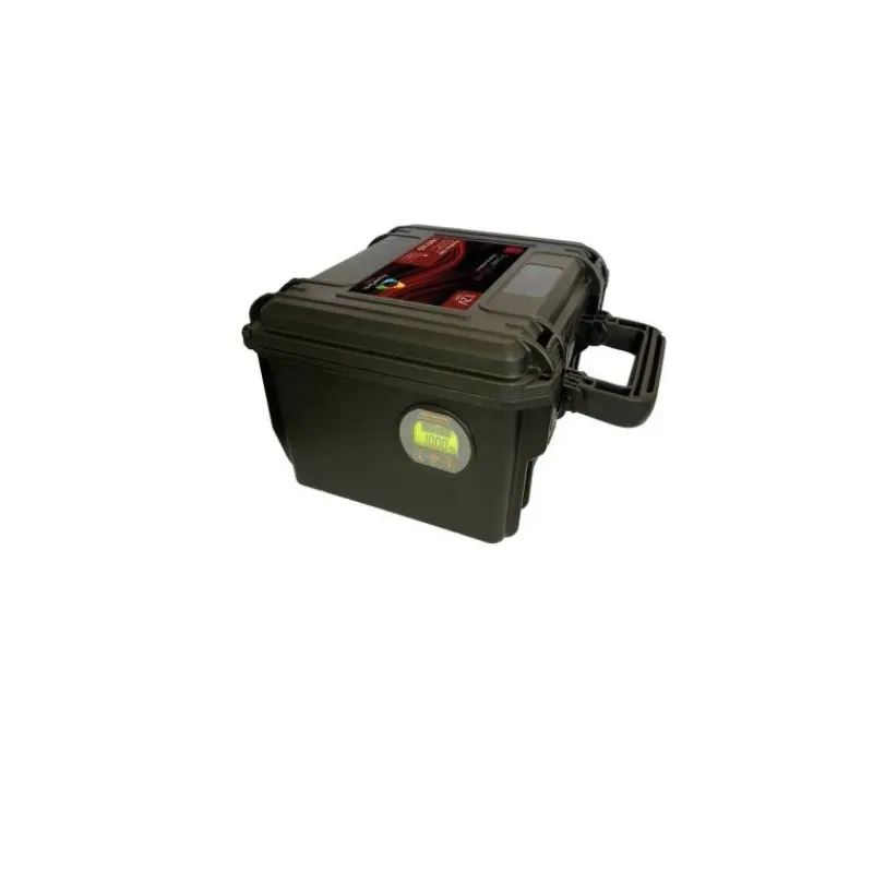 PowerTech Batteries & Chargeurs^Batterie Lithium Powermove Lifepo4 12V -100Amp