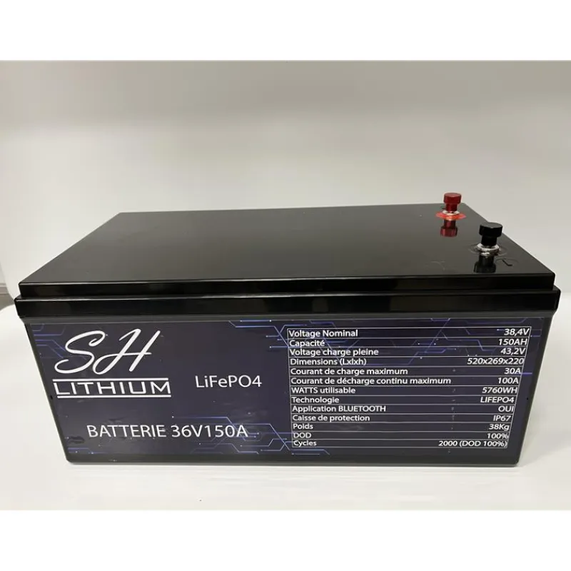 SH Lithium Batteries & Chargeurs^Batterie Lithium Lifeop4 Format Caisse Bluetooth 36V150amp + Chargeur