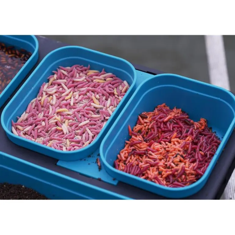 Boite À Esches Drennan Dms Bait-Seal Box Aqua