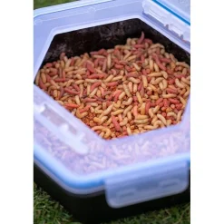 Zebco Appâts - Amorces^Boîte À Appâts Secure-Lock Bait Box