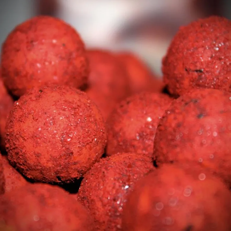 Pro Elite Baits Appâts Carpe^Bouillette Gold Bloody Mulberry