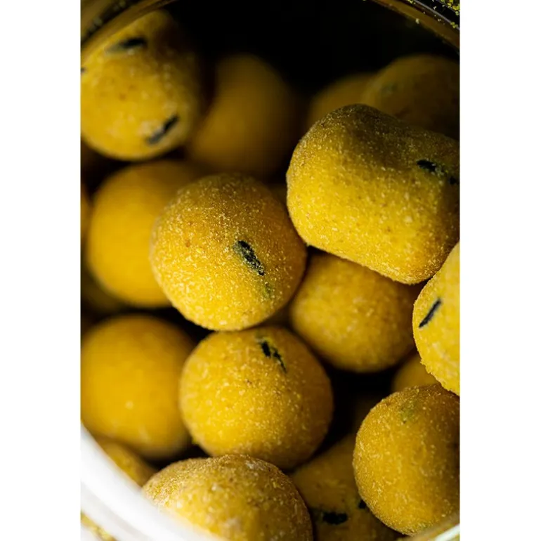 Bouillette Équilibrée Pro Elite Baits Gold Wafter Boilie+Dumbell
