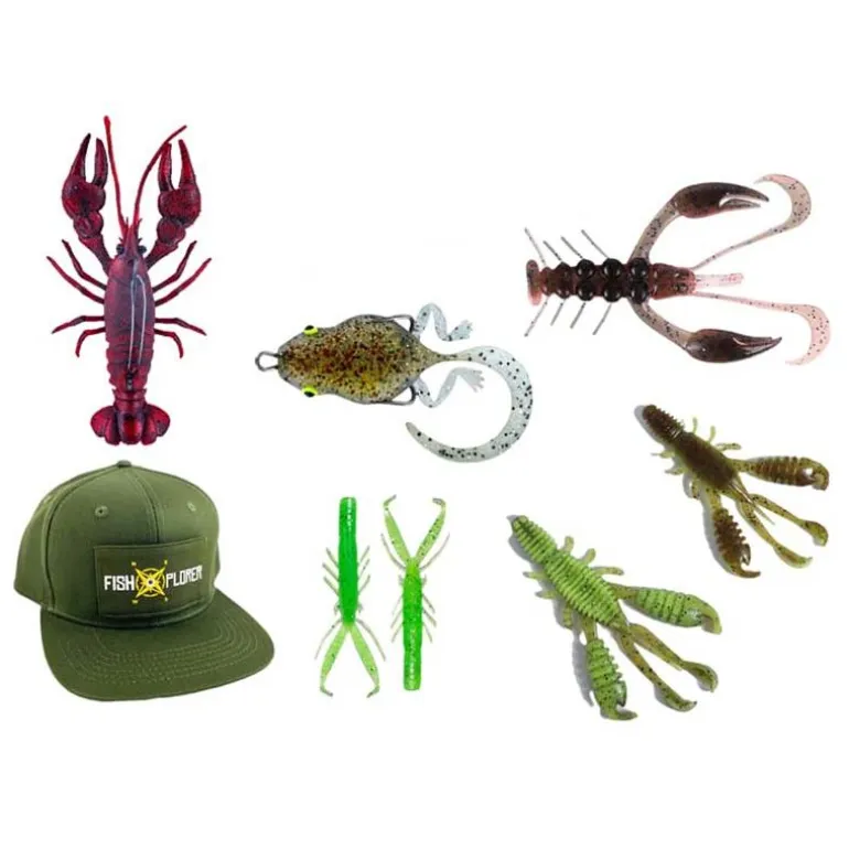 Box Découverte Fishxplorer Creature Deal
