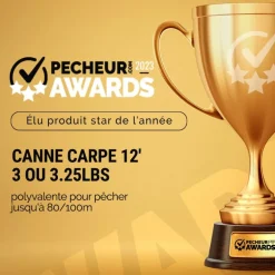 Canne Carpe Nash X Series