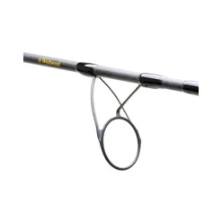 Wychwood Cannes Carpe^Canne Carpe Epic Carp Rods
