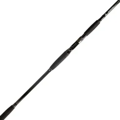 BFT Cannes Carnassier^Canne Casting 92 Double Impact