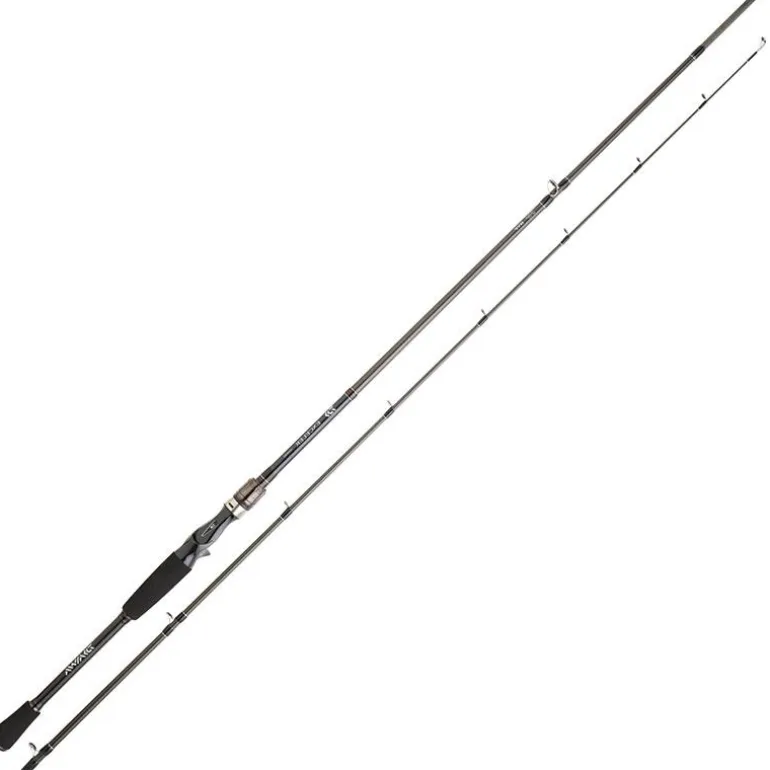 Canne Casting Daiwa Exceler Casting