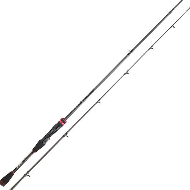Canne Casting Daiwa Megaforce
