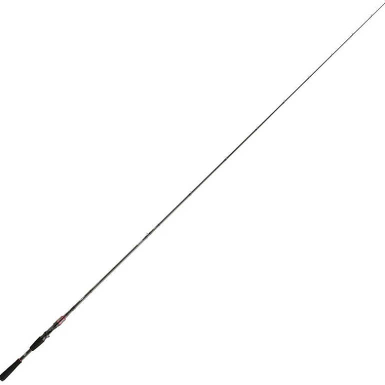 Canne Casting Daiwa Steez Ags Casting