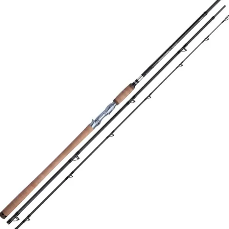 Canne Casting Shimano Speedmaster Salmon