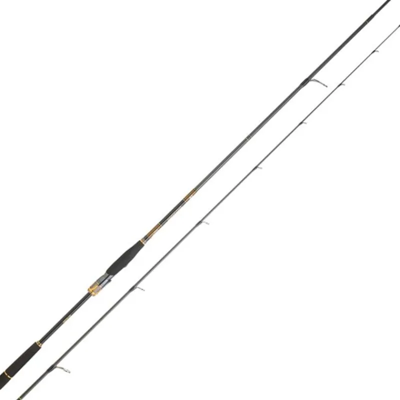 Daiwa Cannes Mer^Canne Morethan Branzino Expert