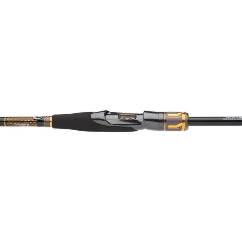 Daiwa Cannes Mer^Canne Morethan Branzino Expert