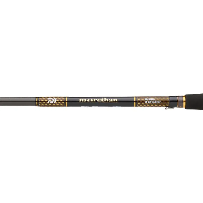 Daiwa Cannes Mer^Canne Morethan Branzino Expert