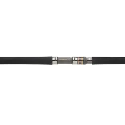 Daiwa Cannes Mer^Canne Morethan Branzino Expert