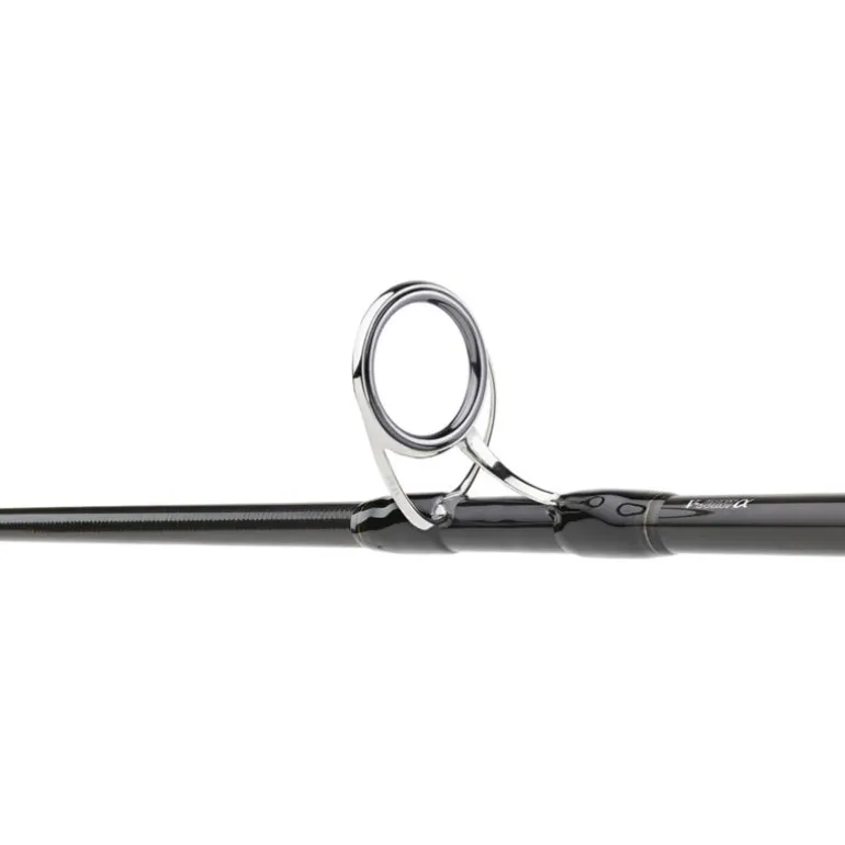 Canne Daiwa Saltiga