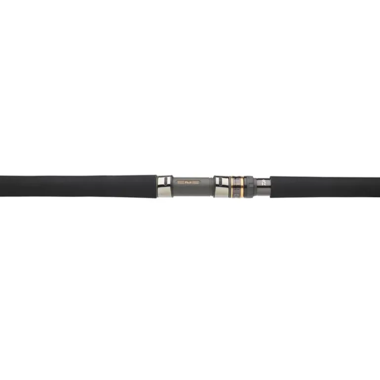Canne Daiwa Saltiga