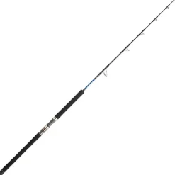 Daiwa Cannes Mer^Canne Saltiga Jigging