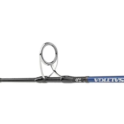 Daiwa Cannes Mer^Canne Saltiga Jigging