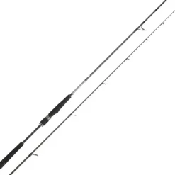 Daiwa Cannes Mer^Canne Saltist Seabass
