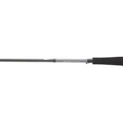 Daiwa Cannes Mer^Canne Saltist Seabass
