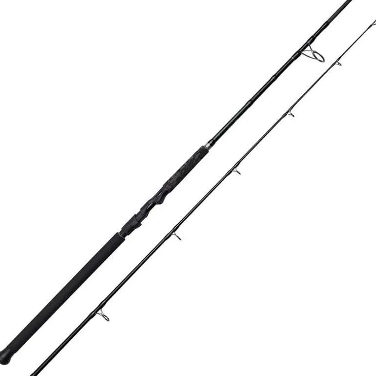 Canne Silure Madcat Black Spin