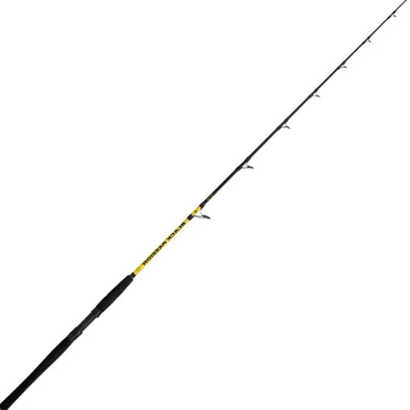 Black Cat Cannes Silure^Canne Spinning Black Passion G2 Vertical