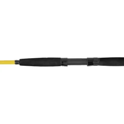 Black Cat Cannes Silure^Canne Spinning Black Passion G2 Vertical