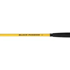 Canne Spinning Black Cat Black Passion G2 Bank