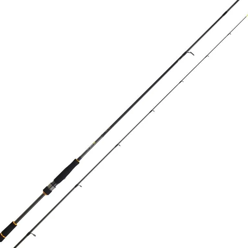 Daiwa Cannes Mer^Canne Spinning Bg Rf