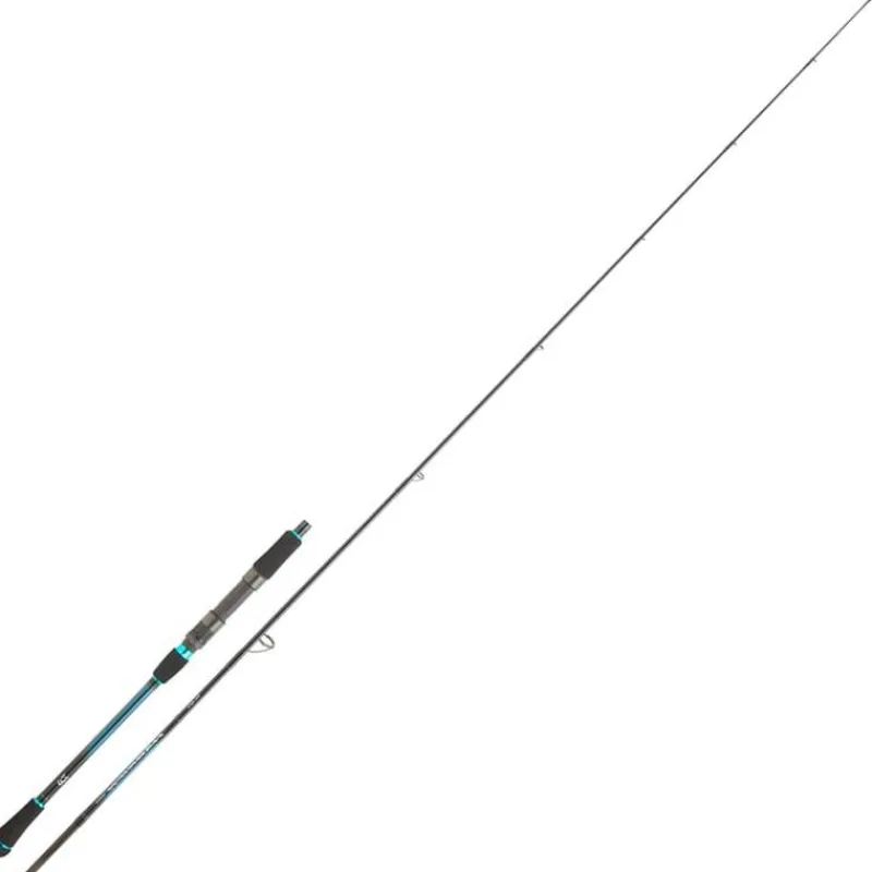 Daiwa Cannes Mer^Canne Spinning Harrier Jigging