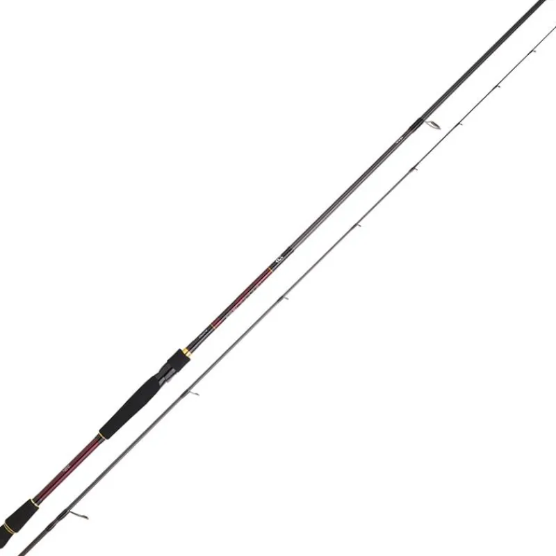 Daiwa Cannes Mer^Canne Spinning Infeet Rf