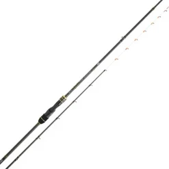 Daiwa Cannes Mer^Canne Spinning Team Tenya