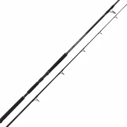 Canne Spinning Shimano Beastmaster Ax Catfish Static