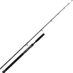 Shimano Cannes Silure^Canne Spinning Beastmaster Catfish Vertical