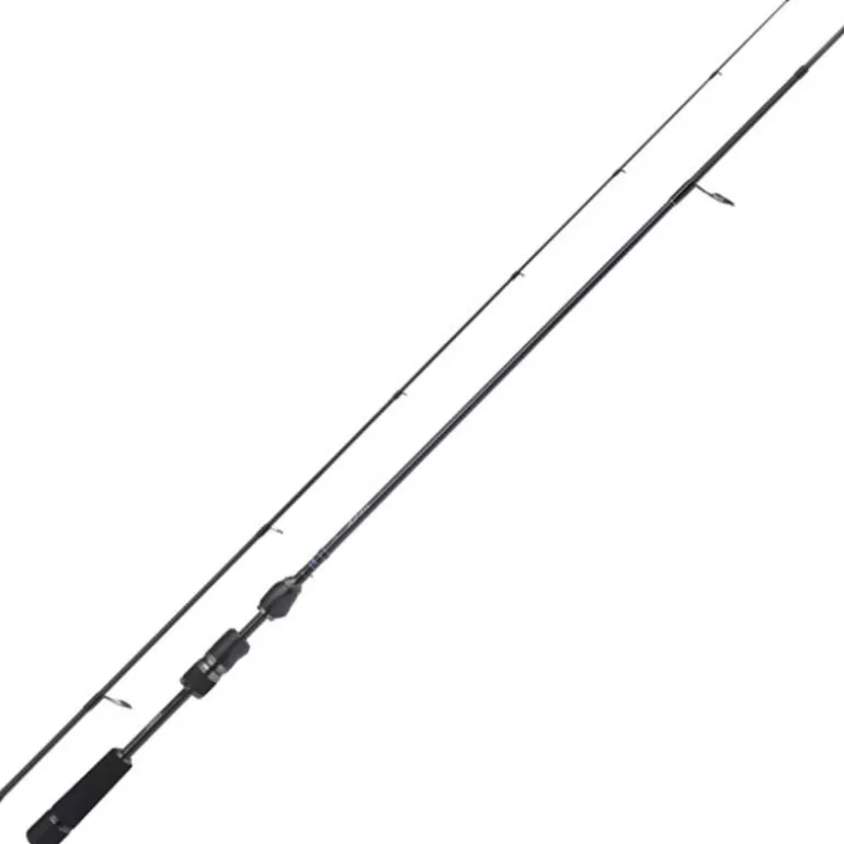 Canne Spinning Shimano Stradic Spinning