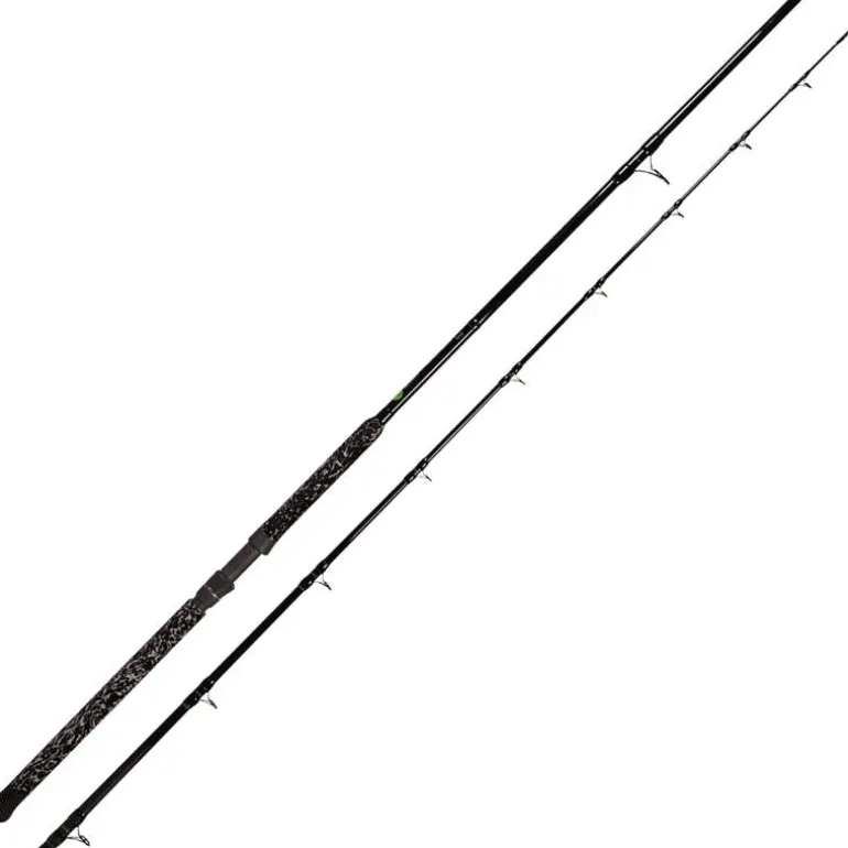 Canne Spinning Silure Zeck Buddy Long