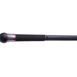 Daiwa Cannes Mer^Canne Surf Téléescopique Emblem Surf Type R
