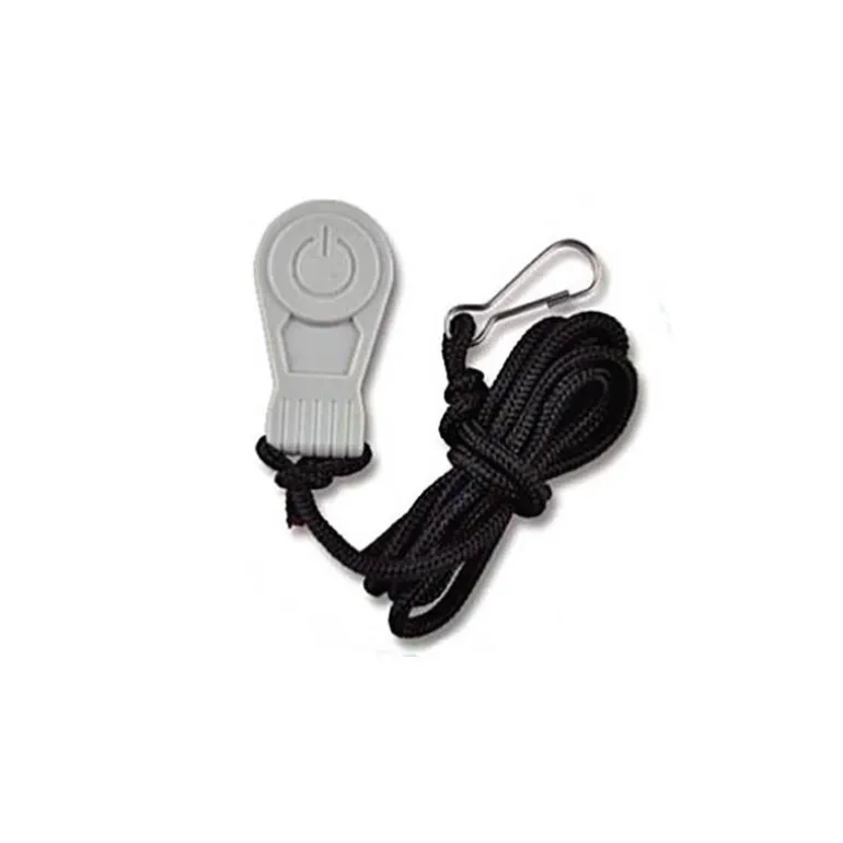 Clef Magnétique De Rechange Haswing Pour Protruar 3.0 12V, 5.0 160Lbs Et Ultima