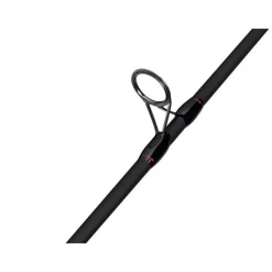 Abu Garcia Ensembles Carnassier^Ensemble Fast Attack Spinning Combo