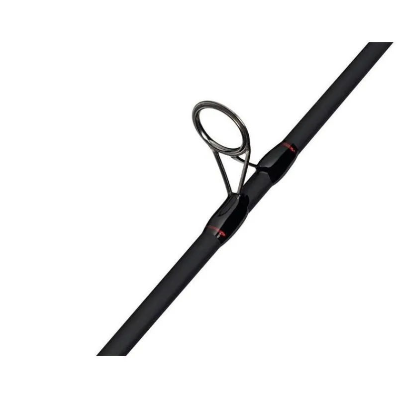 Abu Garcia Ensembles Carnassier^Ensemble Fast Attack Spinning Combo