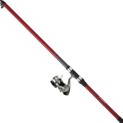 Ensemble Carnassier Telescopique Daiwa Pike