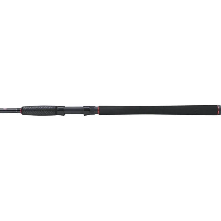 Ensemble Spinning Penn Fierce Iv Travel Spin Combo