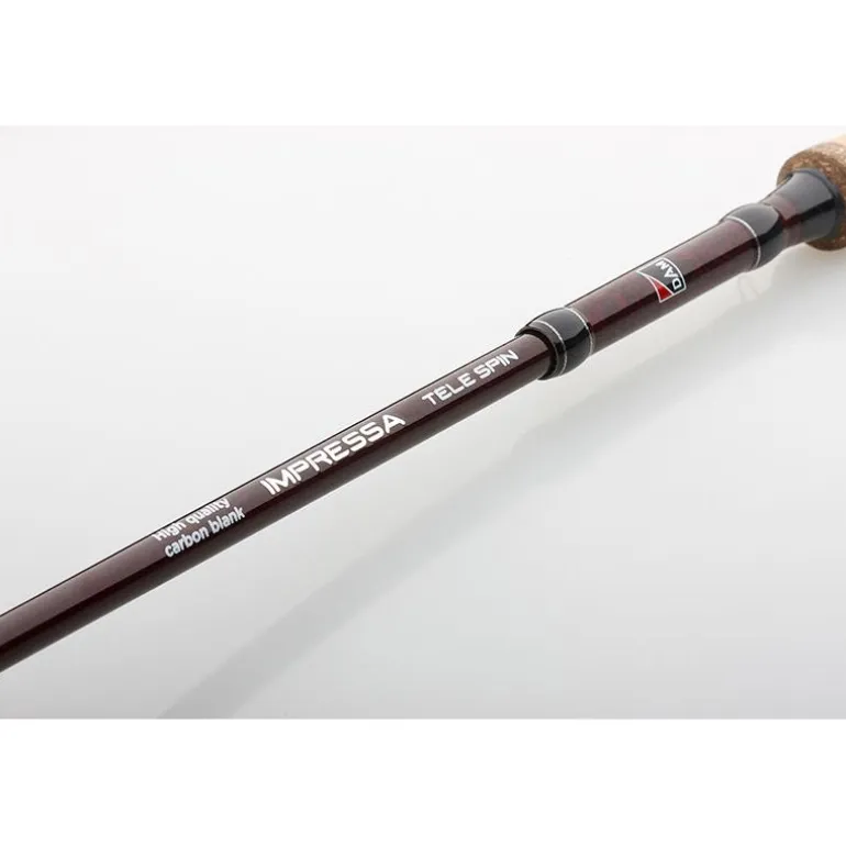 Ensemble Spinning Télescopique Dam Impressa Tele Spinning Combo