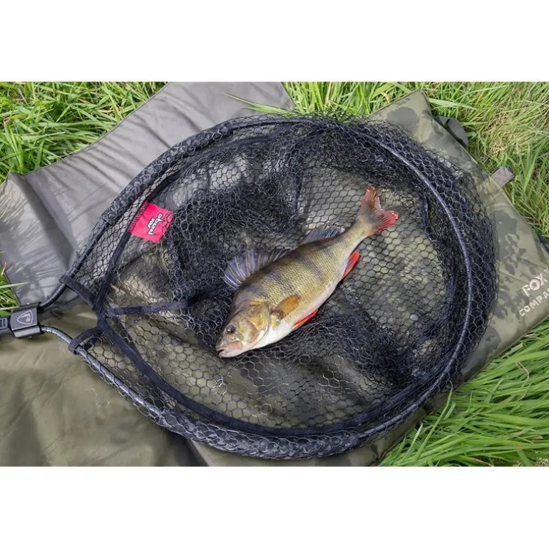 Epuisette Fox Rage Short Street Net