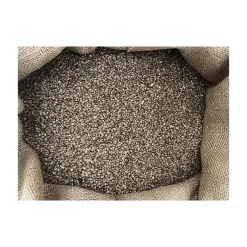 Graine Poseidon Particles Chènevis Gros