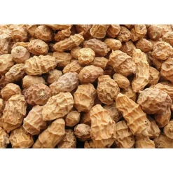 Graine Poseidon Particles Tigernuts Xxl