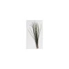 JMC Fly Tying^Herl De Paon Naturel