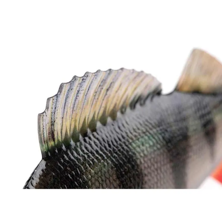 Leurre Souple Armé Fox Rage Ultra-Realistic Perch Replicant
